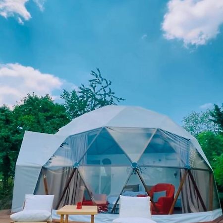 Phalesia Glamping Otel Sapanca Zewnętrze zdjęcie