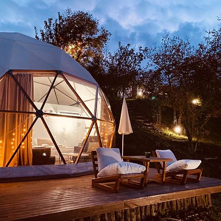 Phalesia Glamping Otel Sapanca Zewnętrze zdjęcie