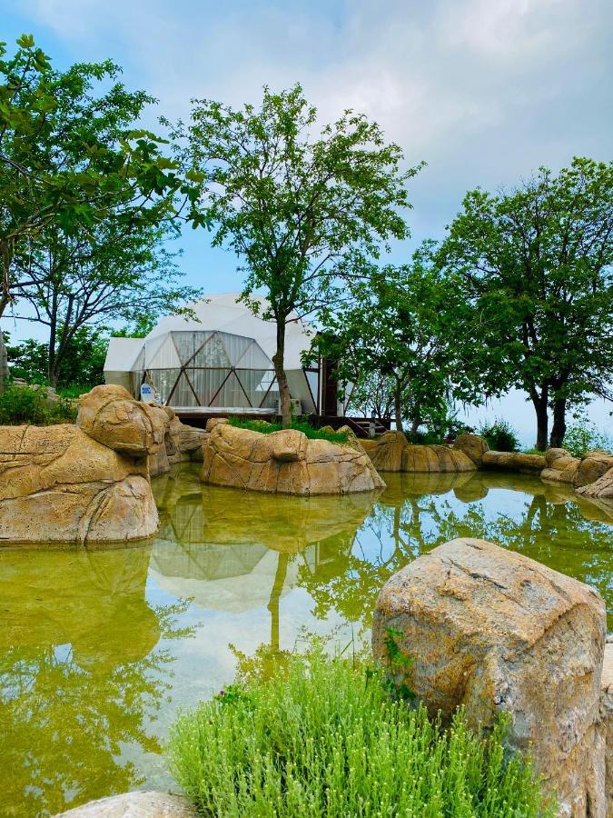 Phalesia Glamping Otel Sapanca Zewnętrze zdjęcie