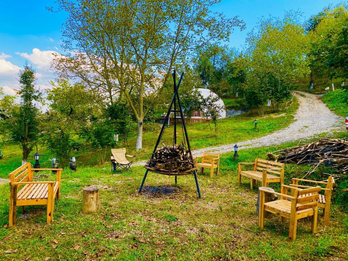 Phalesia Glamping Otel Sapanca Zewnętrze zdjęcie