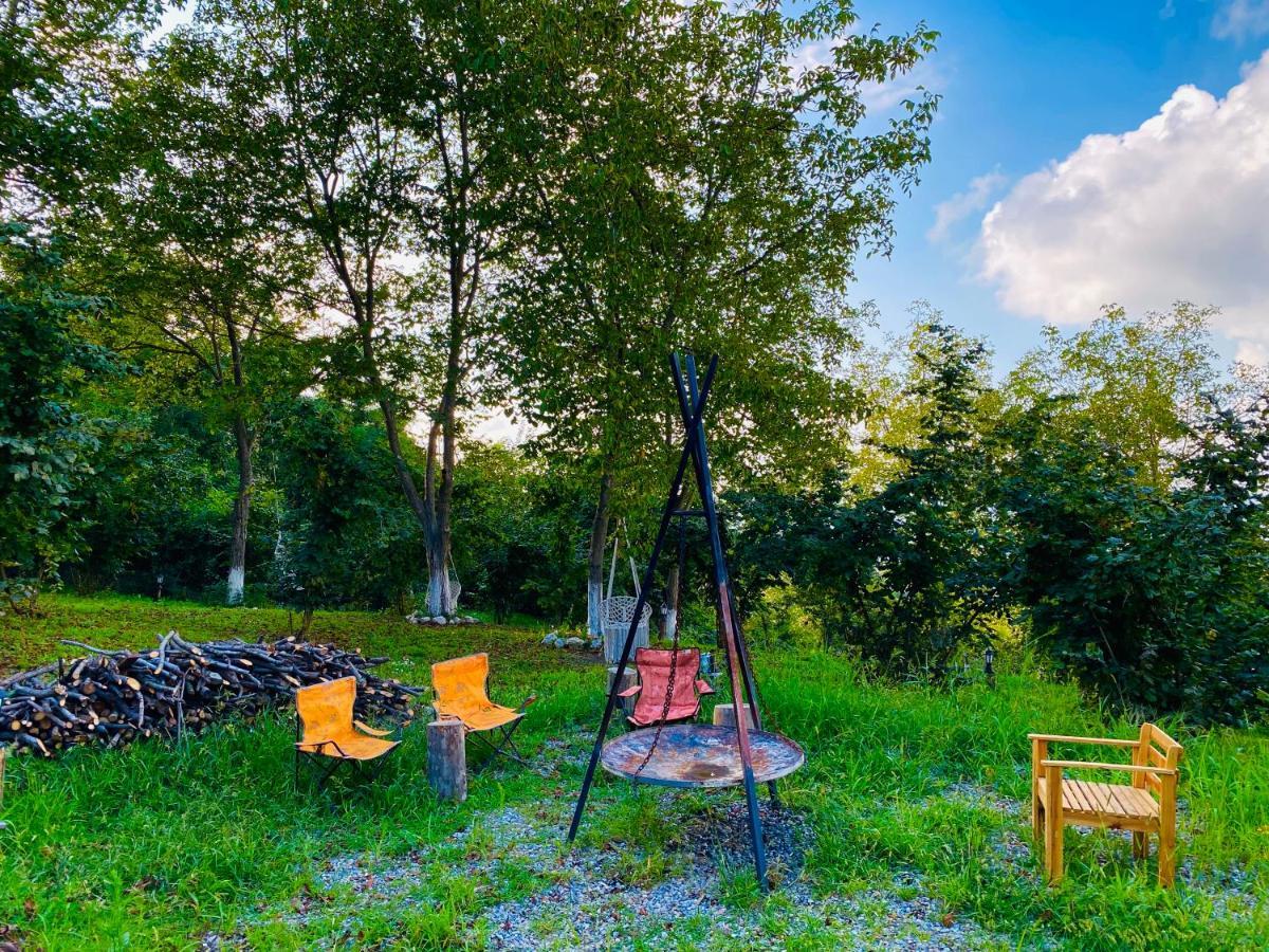Phalesia Glamping Otel Sapanca Zewnętrze zdjęcie
