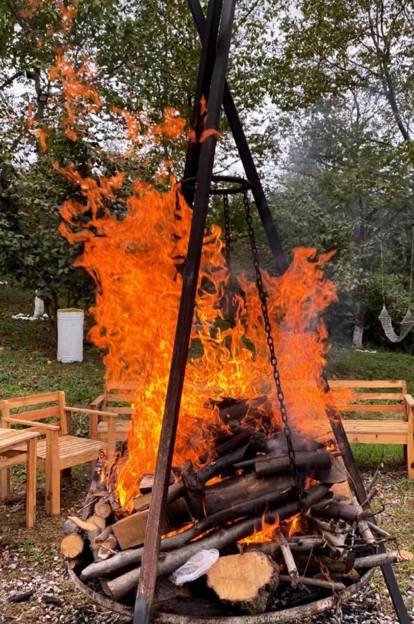 Phalesia Glamping Otel Sapanca Zewnętrze zdjęcie