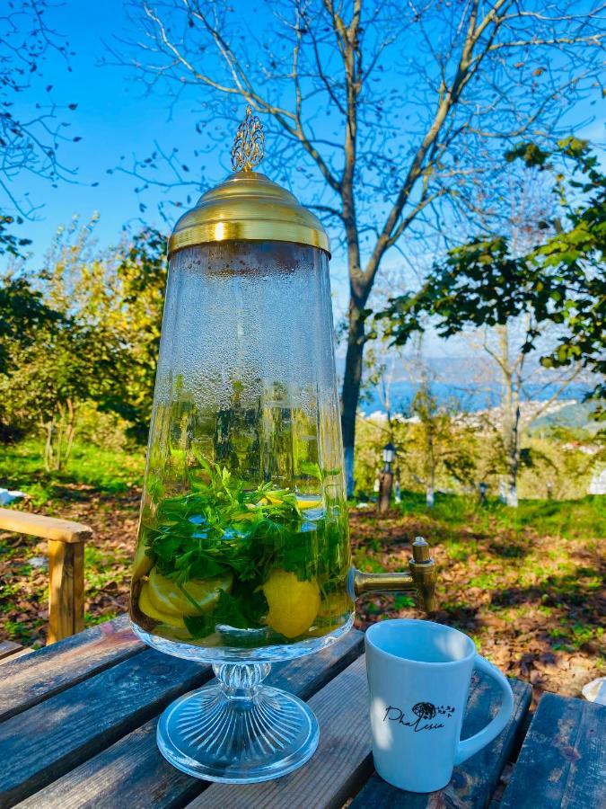 Phalesia Glamping Otel Sapanca Zewnętrze zdjęcie