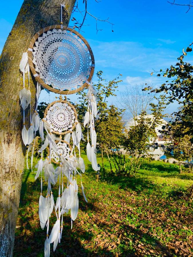 Phalesia Glamping Otel Sapanca Zewnętrze zdjęcie