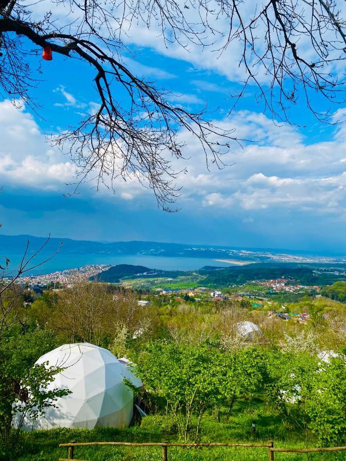 Phalesia Glamping Otel Sapanca Zewnętrze zdjęcie