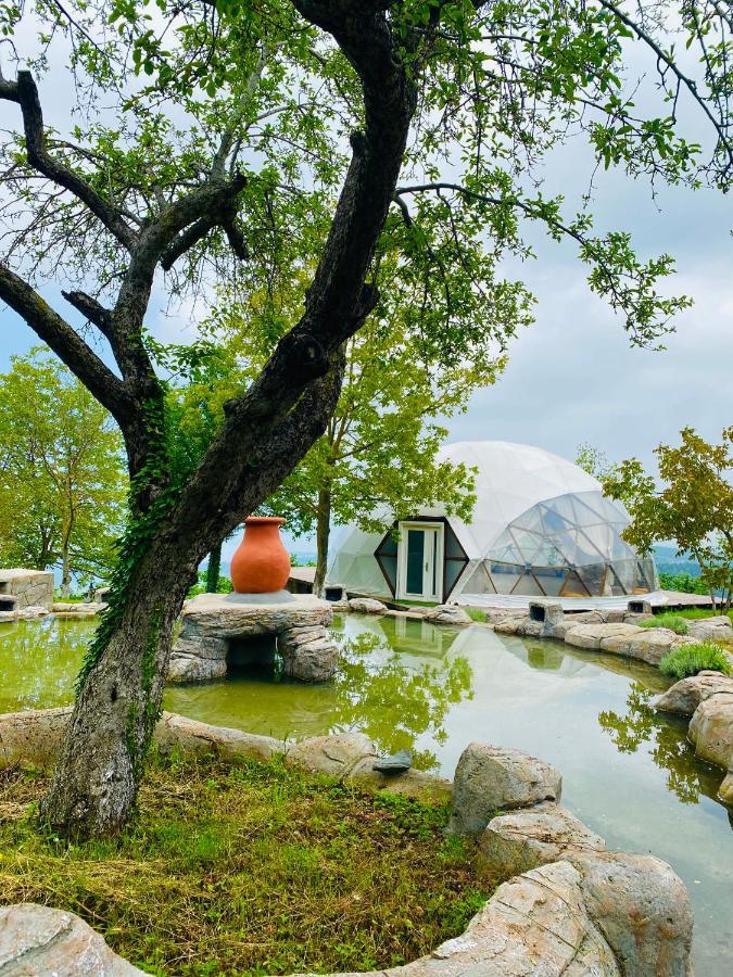 Phalesia Glamping Otel Sapanca Zewnętrze zdjęcie