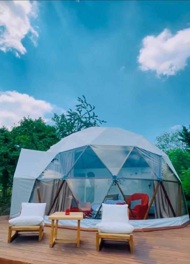 Phalesia Glamping Otel Sapanca Zewnętrze zdjęcie