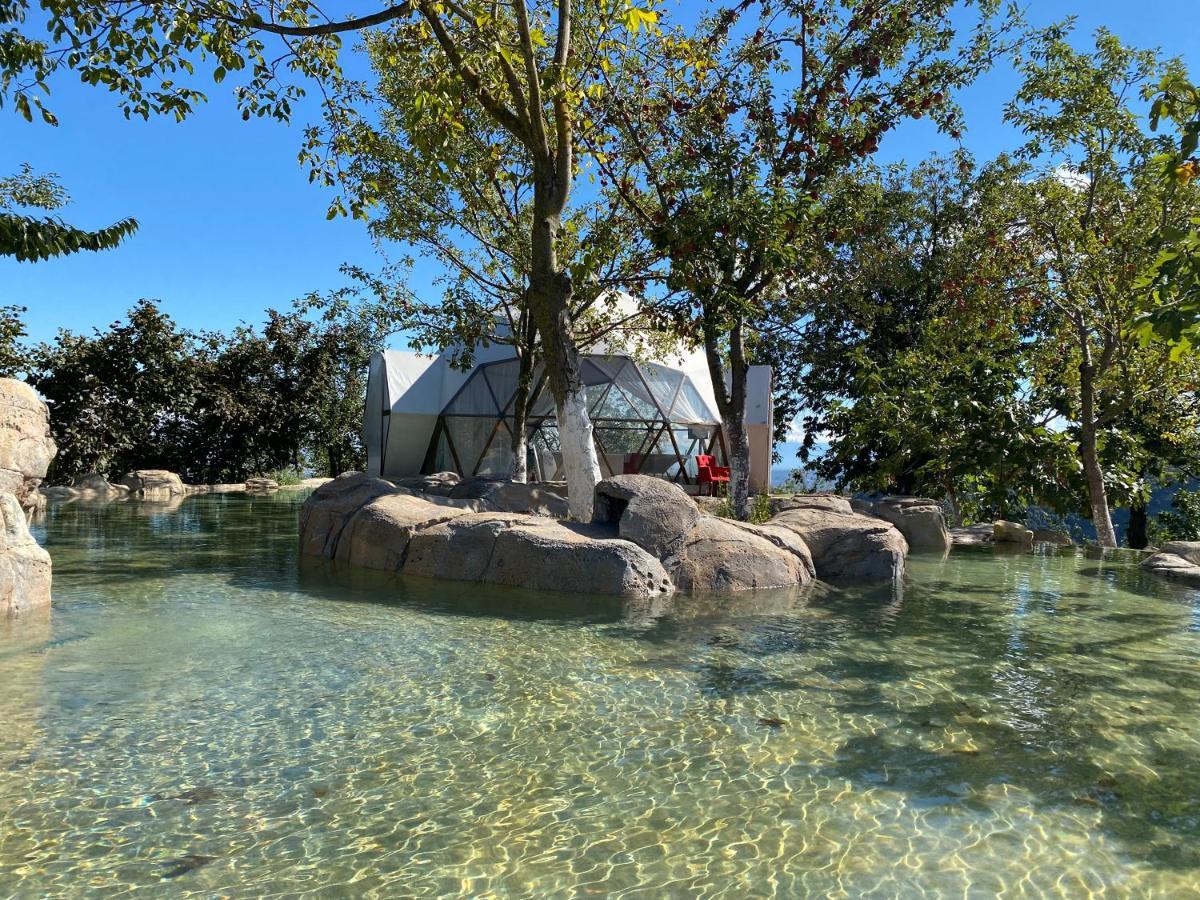 Phalesia Glamping Otel Sapanca Zewnętrze zdjęcie