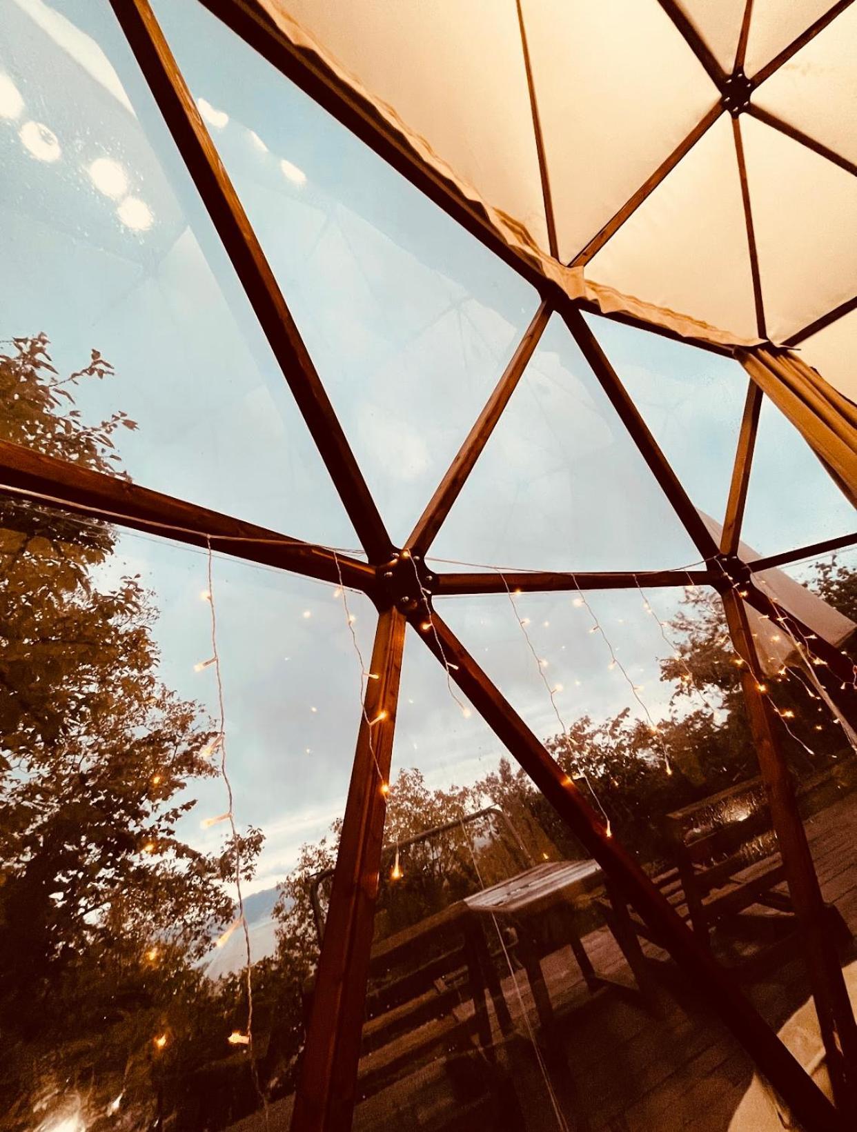 Phalesia Glamping Otel Sapanca Zewnętrze zdjęcie