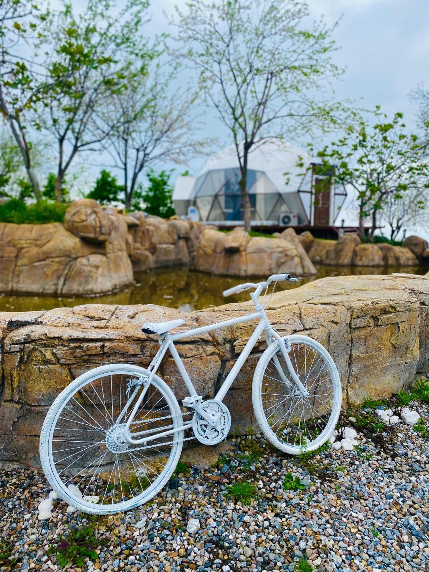 Phalesia Glamping Otel Sapanca Zewnętrze zdjęcie