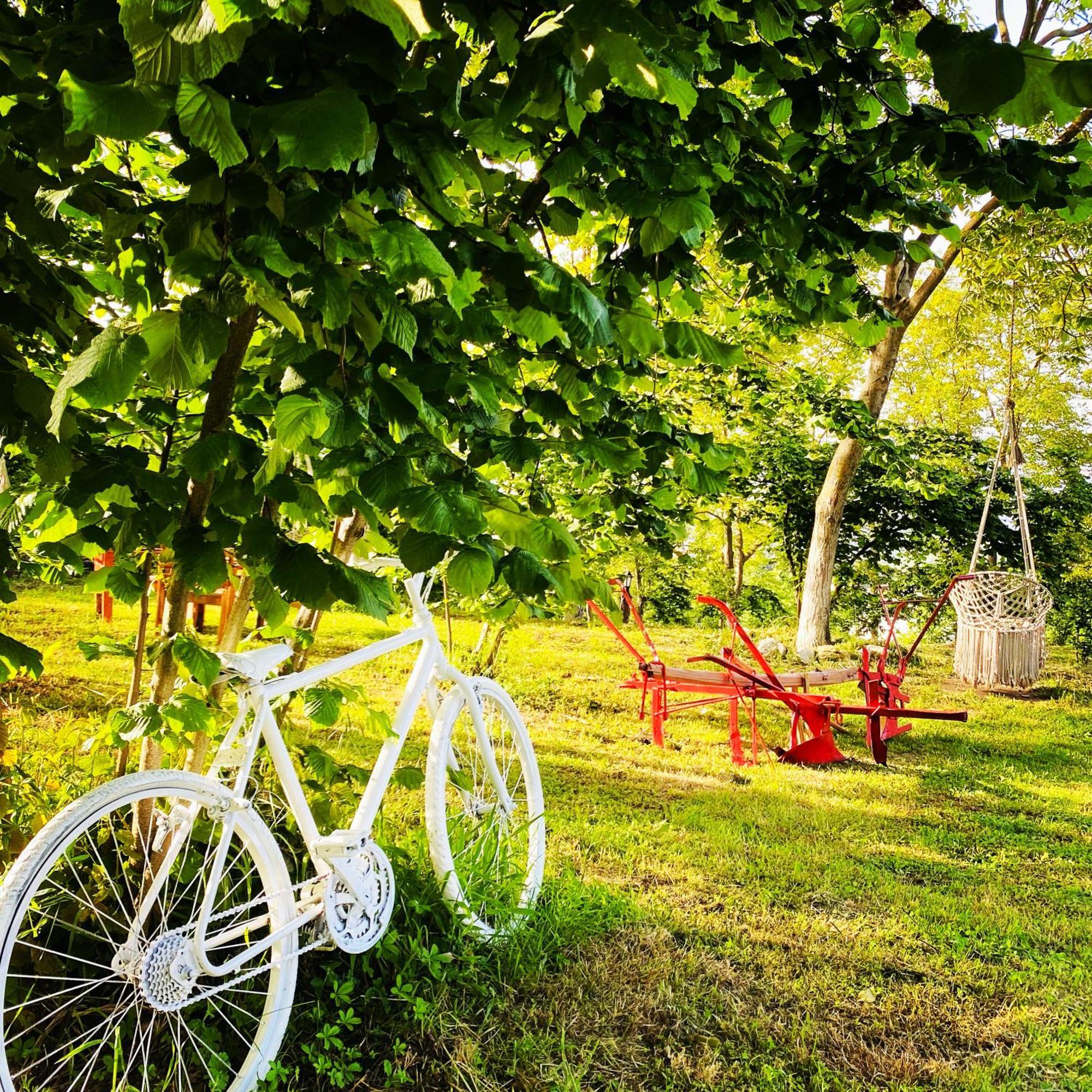 Phalesia Glamping Otel Sapanca Zewnętrze zdjęcie